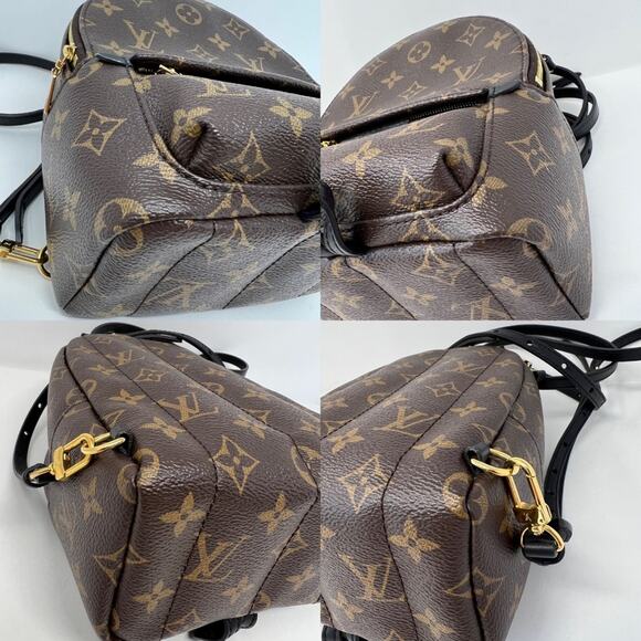 Louis Vuitton Palm Springs Mini Backpack main image 5